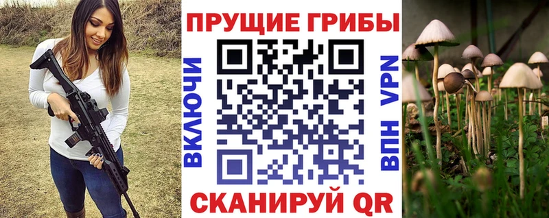 маркетплейс формула  Мышкин  Псилоцибиновые грибы Psilocybine cubensis 
